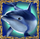 รีวิวเกม Dolphin’s Pearl deluxe
